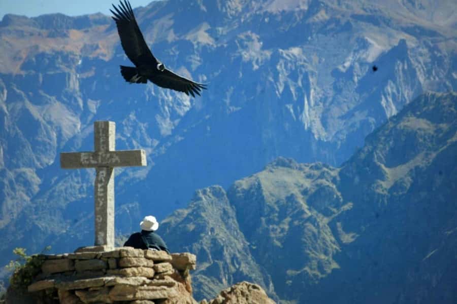 Arequipa: 1-Day Colca Canyon + Thermal Baths Tour - Why the condors make this day worth the early start