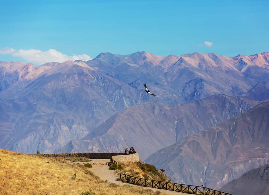 Arequipa: 2-Day Colca Canyon Classic Tour return to Arequipa - Why Two Days Works Better Than a Rushed Colca Visit