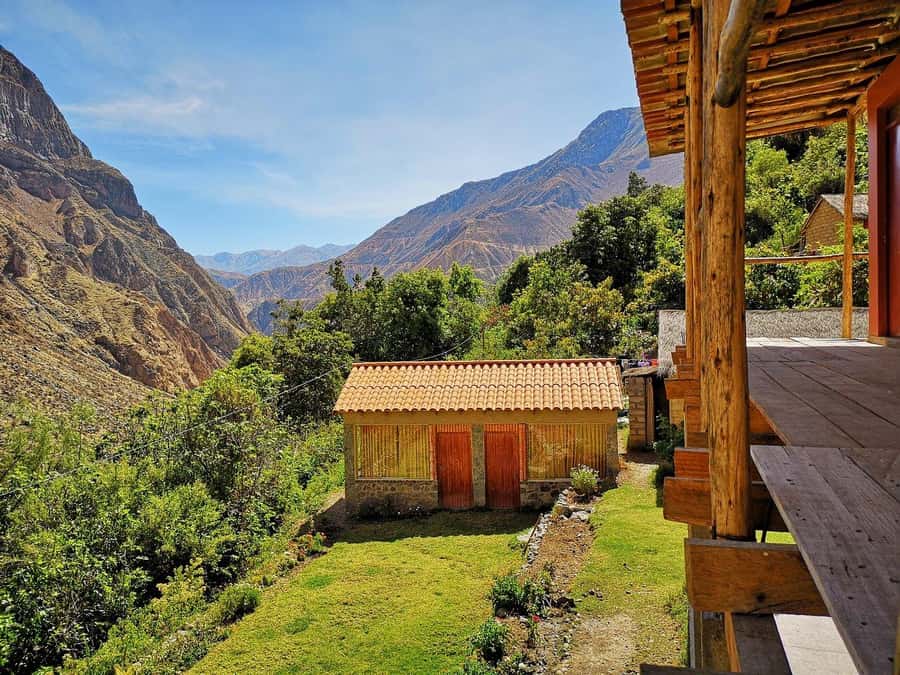 Arequipa: 2-day Colca Canyon Trekking, Ending in Puno - From Cabanaconde down to San Juan de Chuccho