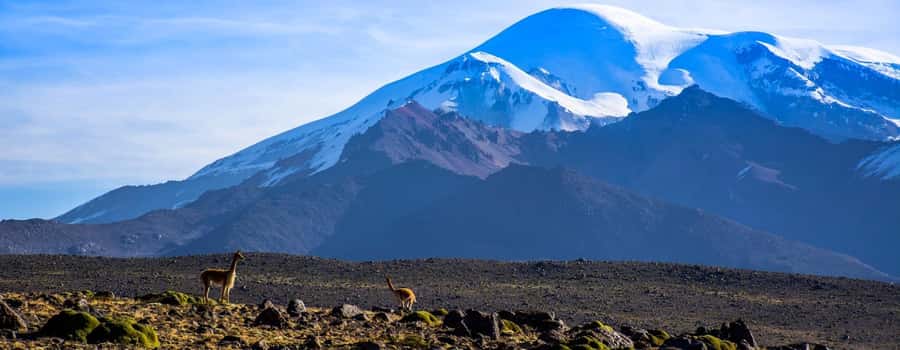 Arequipa | Ascent to Chachani Volcano 2 days / 1 night - Summit views over southern Peru