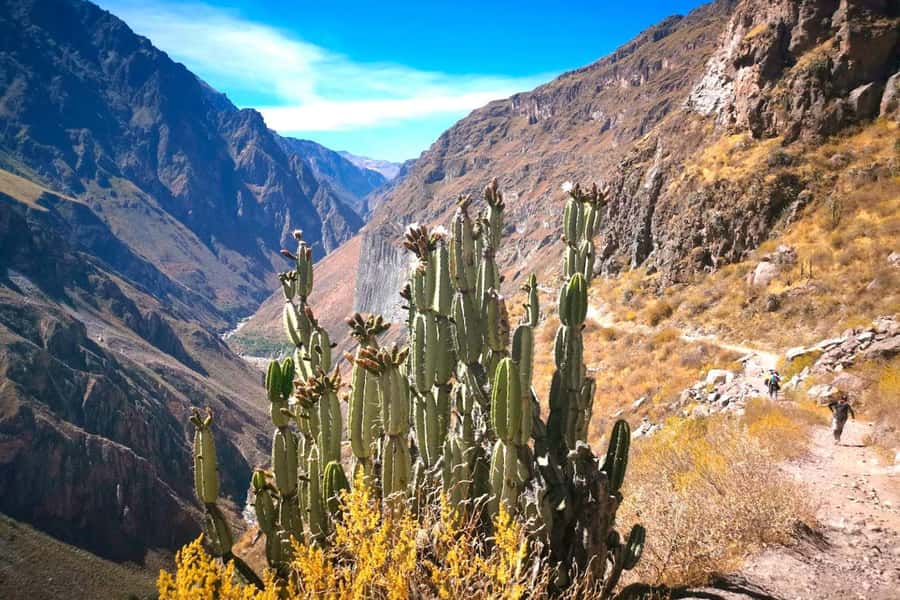 Arequipa : Colca Canyon 2-Day Adventure - Toccra wetlands and the 4,900-meter volcano viewpoint
