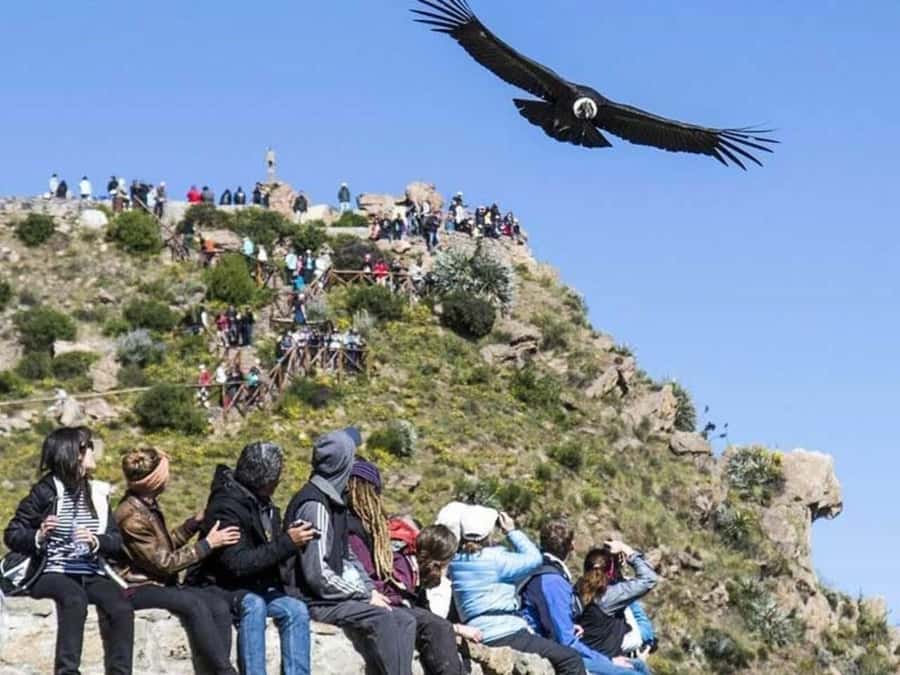 Arequipa: Colca Canyon Trekking 2 days and 1 night + food - Why This Two-Day Colca Route Works