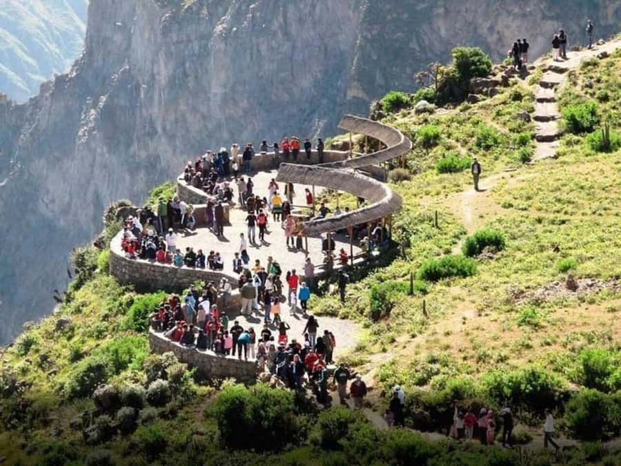 Arequipa: Colca Canyon Trekking 2 days and 1 night + food - Four Hours Down to San Juan de Chucho