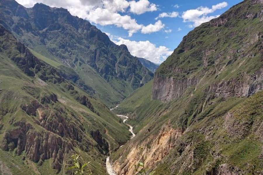 Arequipa: Colca Canyon Trekking 2 days and 1 night + food - High Passes, Wetlands, and Andean Wildlife