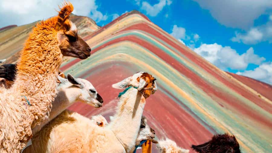 Arrive before the crowd to the Mountain in private service - Key points to know before you book