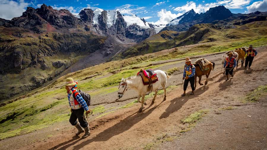 Arrive before the crowd to the Mountain in private service - Why the 3:30 am departure matters