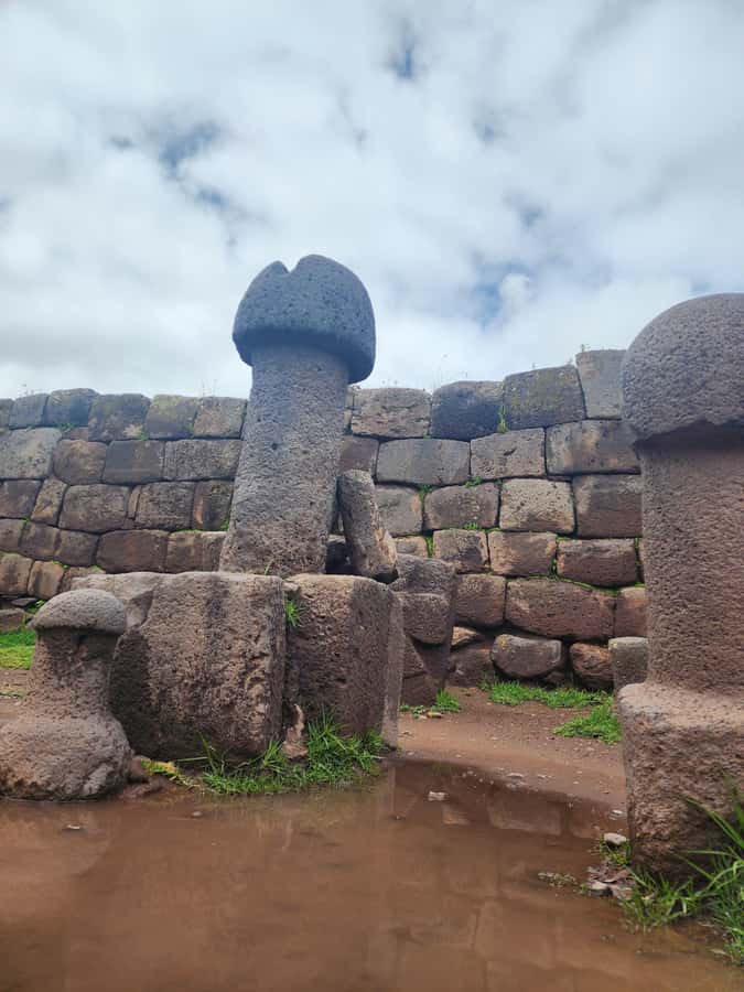 Aymara Route Mystical Cultural Tour - Transport, guide, and the practical value of $32