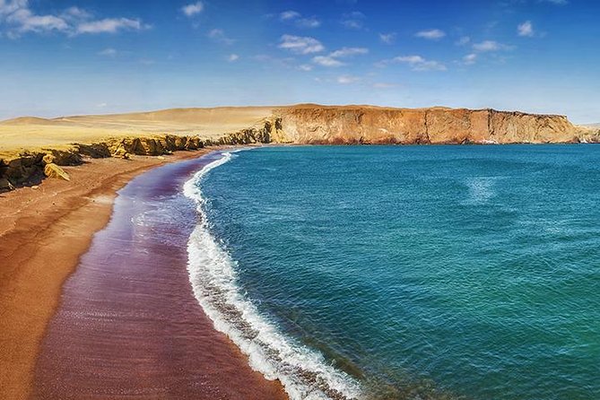 Ballestas island & Paracas reserve from PISCO CRUISESHIP TERMINAL - Meeting your guide at San Martín Port