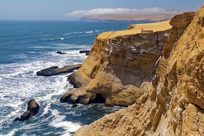 Ballestas island & Paracas reserve from PISCO CRUISESHIP TERMINAL - A short break in Paracas before the land tour