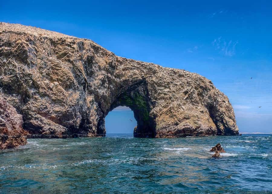 Ballestas Islands and Huacachina Oasis Half-Day Tour - Who will enjoy this route most