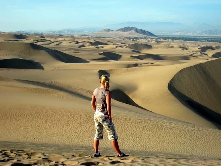 Ballestas Islands and Huacachina Oasis Half-Day Tour - What the $118 price includes