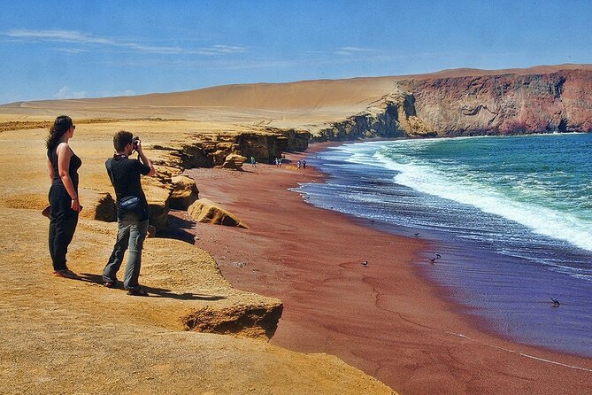 Ballestas Islands & National Reserve of Paracas from Ica - Ballestas Islands and El Candelabro