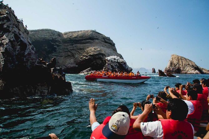 Ballestas Islands & National Reserve of Paracas from Ica - Who should book this excursion?