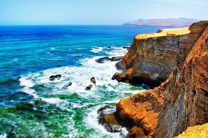 Ballestas Islands & National Reserve of Paracas from Ica - Into Paracas National Reserve