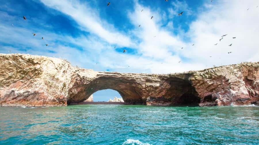 Ballestas Islands & Paracas National Reserve from Paracas - What the $34 price really covers