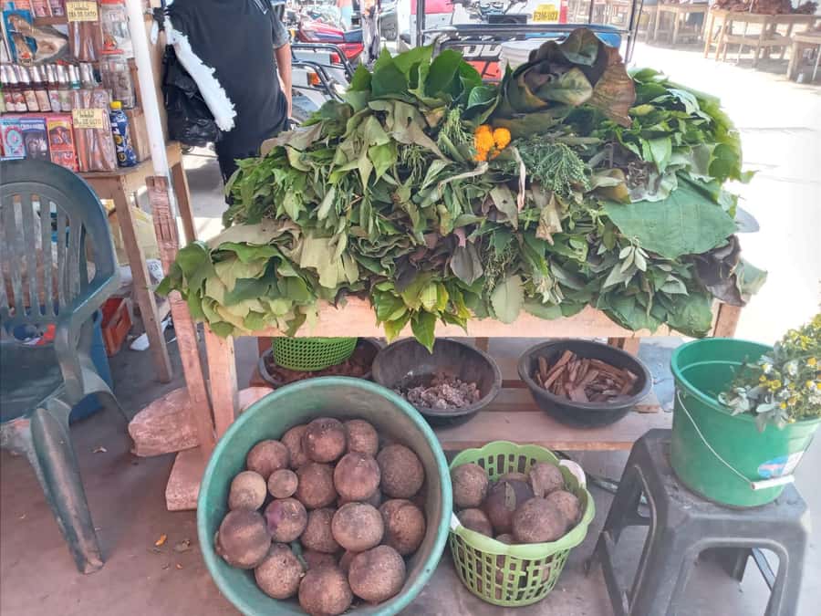 Belen Market & Floating City 2-3 Hour Private Tour - Belen Market, where Iquitos does its daily shopping