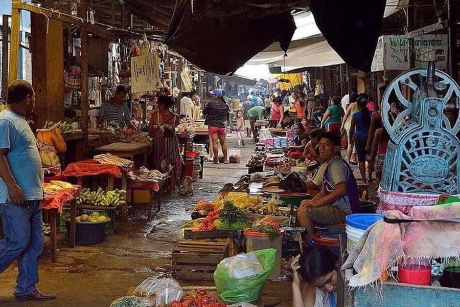 Belen Market & Floating City 2-3 Hour Private Tour - Is $40 good value?