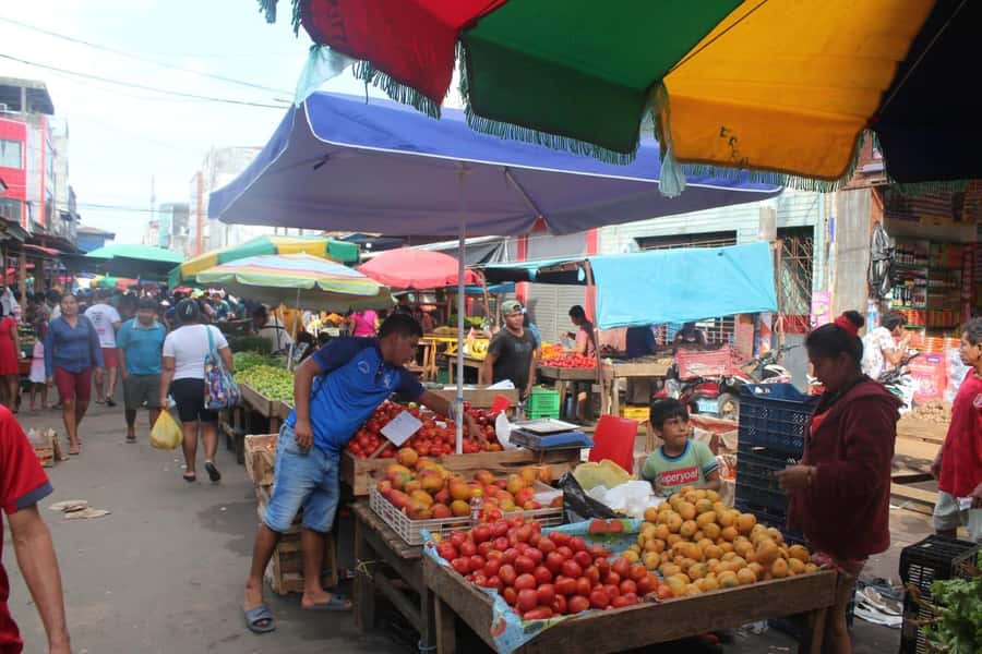 Belen Market & Floating City 2-3 Hour Private Tour - Who should book this Iquitos experience?