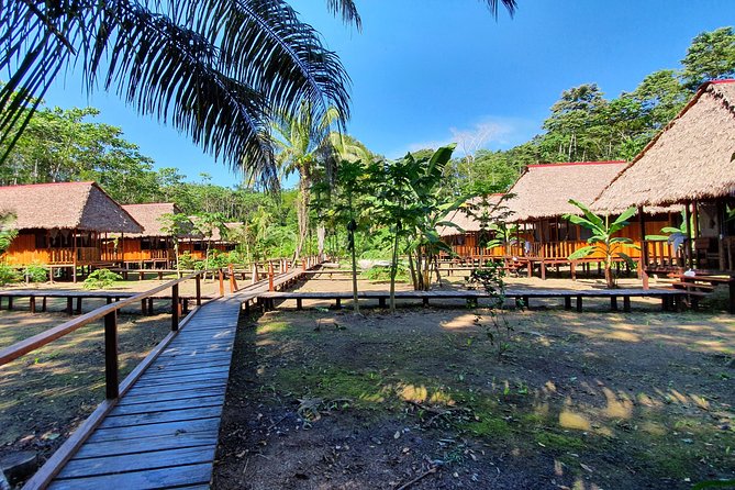 Best of Tambopata 2 nights by JunglePro - How the $490 price measures up
