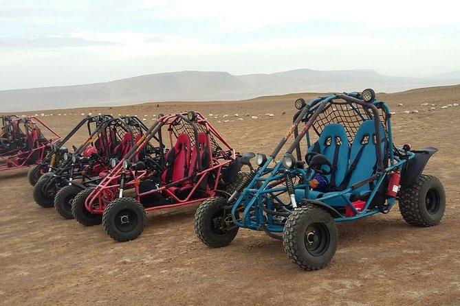 Buggy ride in Paracas National Reserve - Should you book the Paracas buggy ride?