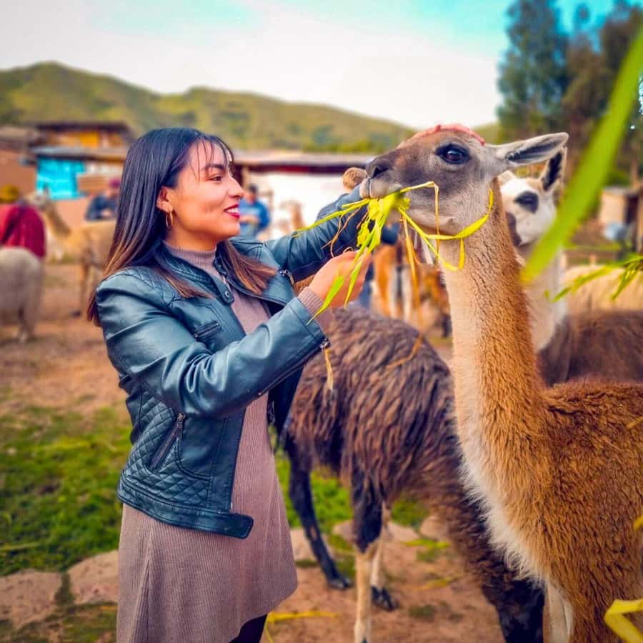 BUS 180 CUSCO - Practical details that matter
