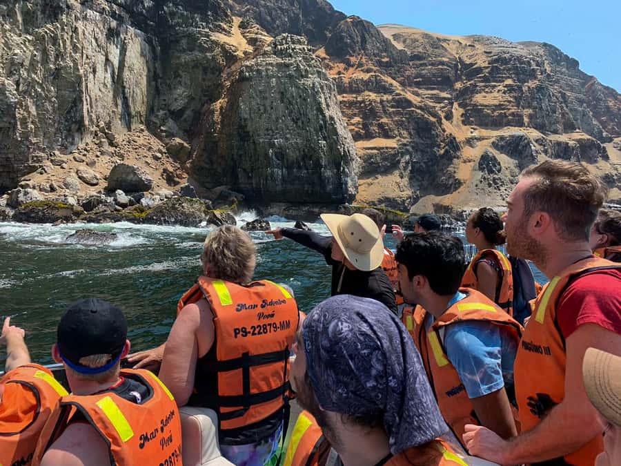 Callao: Swimming with Sea Lions Palomino Islands Boat Tour - Key points to know before booking