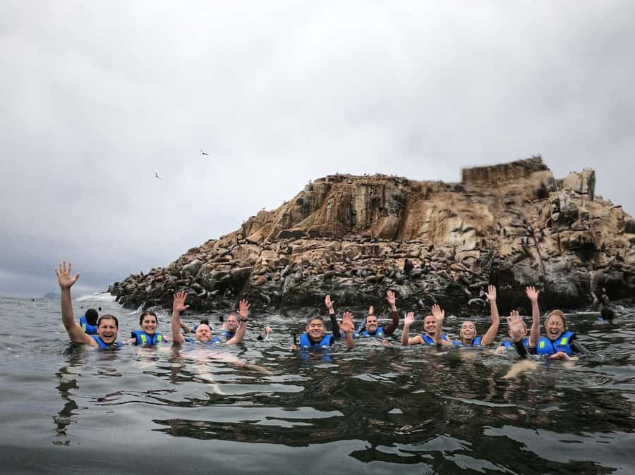 Callao: Swimming with Sea Lions Palomino Islands Boat Tour - Reaching Palomino Island from Callao
