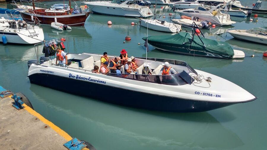 Callao: Swimming with Sea Lions Palomino Islands Boat Tour - Is $76 a fair price?