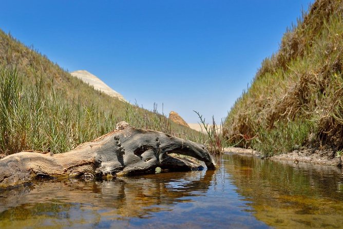 Cañón de los Perdidos Excursion - What fossils and saltpeter add to the visit