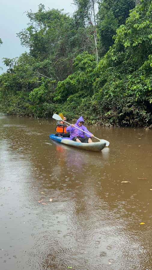 Canopy Tower, Zipline, Kayak, and Monkey Island … - Starting near Puerto Maldonado and getting set for the day