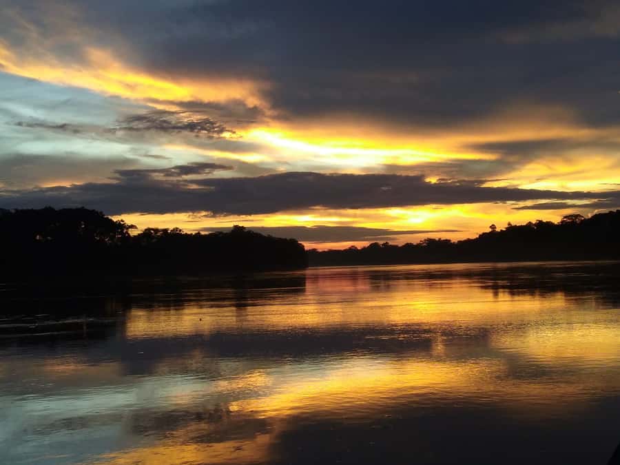 Capibara and caiman search on the Tambopata river - Key points to know before booking