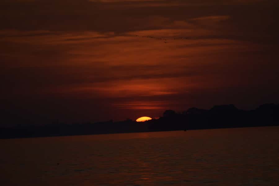 Capibara and caiman search on the Tambopata river - What the itinerary means in practice