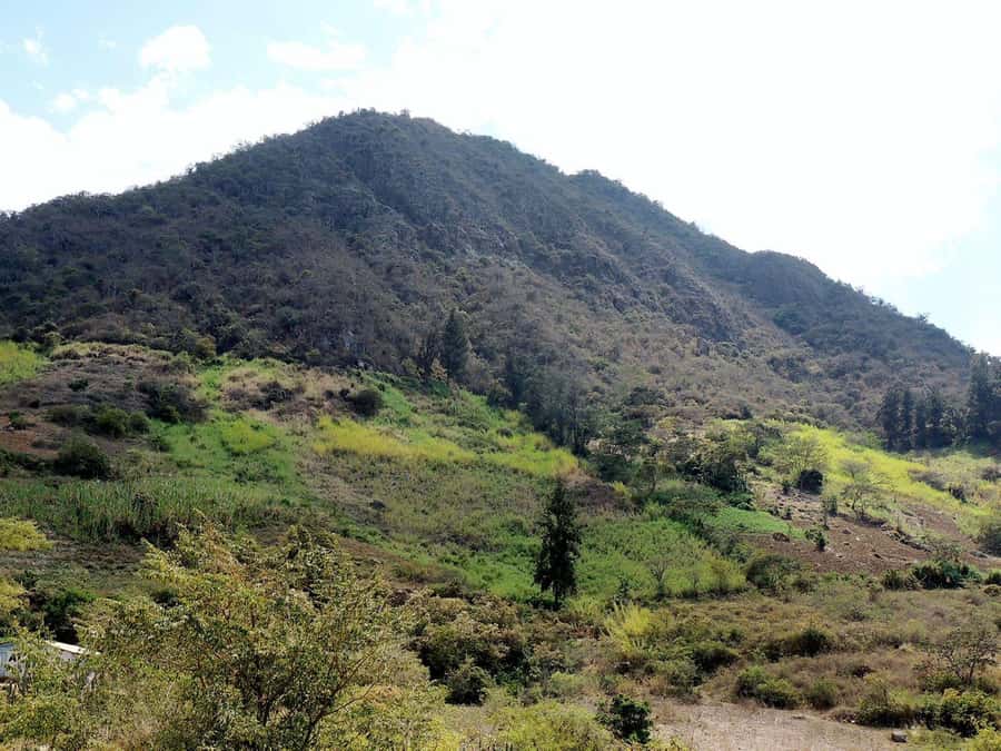 Chiclayo: Chaparri Ecological Reserve Tour - Why Chaparri makes a good escape from Chiclayo