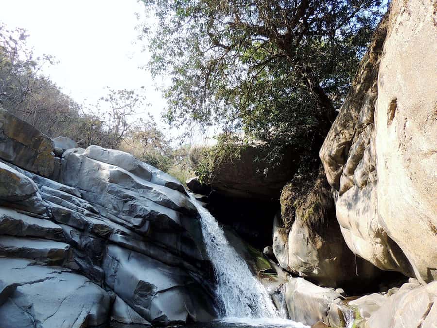 Chiclayo: Chaparri Ecological Reserve Tour - Reptiles, amphibians, and the Huachuma tradition