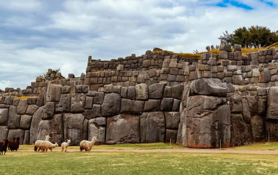 City Tour Cusco Qoricancha Sacsayhuaman y Tambomachay - Timing, transport, and physical demands