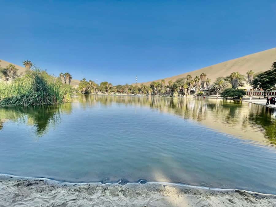 CITY TOUR ICA-HUACACHINA+BUGGIES IN PRIVATE CAR FROM PARACAS - How the guide affects the day