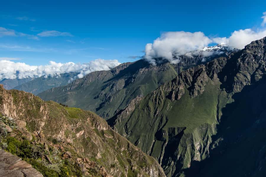 Colca Canyon Day Trip: From Arequipa to Puno - Pinchollo, Maca, Yanque, and the terraces of Colca