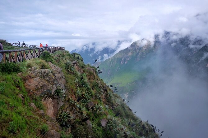 Colca Canyon Plus - Pata Pampa reaches 4,910 meters
