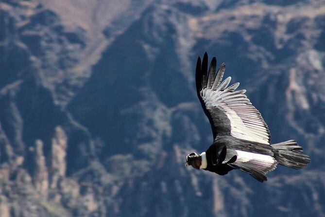 Colca Canyon Plus - Pinchollo, Antahuilque, and Choquetico show the human side