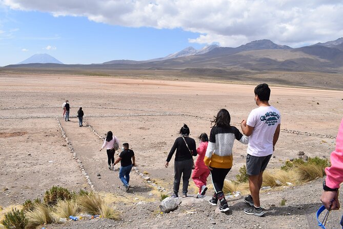 Colca Full Day - Condor views and the strongest sightseeing moment