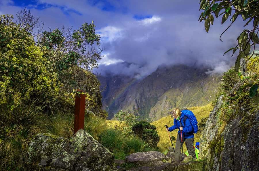 Cusco: 4-Day Inca Trail to Machu Picchu with Accommodation - Day 2: Coffee, old Inca paths, and Cocalmayo