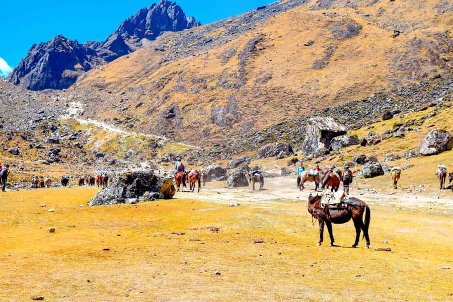 Cusco: 5-Day Salkantay Ultimate Trek to Machu Picchu - Day 5: A guided visit to Machu Picchu