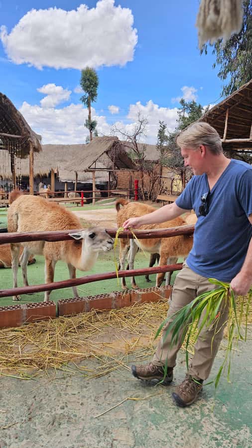 Cusco: Alpaca and Llama Farm Tour w/ Transfer & Weaving Demo - The drive from Cusco to Manos de la Comunidad
