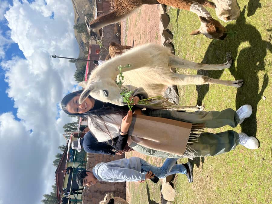 Cusco: Archeological Sites Tour and Forest Photo Experience - Sacsayhuaman and the city below