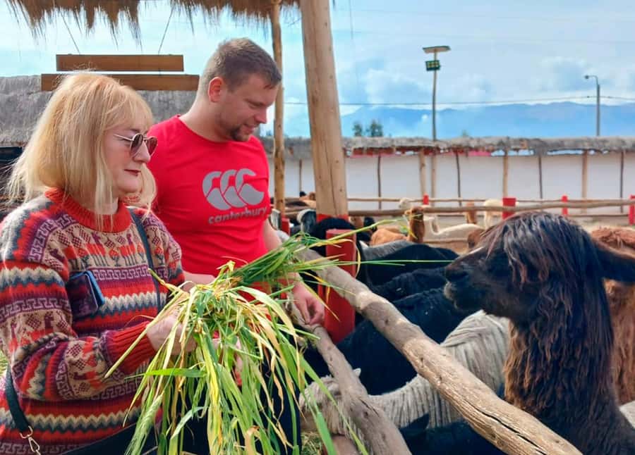 Cusco: Archeological Sites Tour and Forest Photo Experience - Qenqo Forest and the included photo