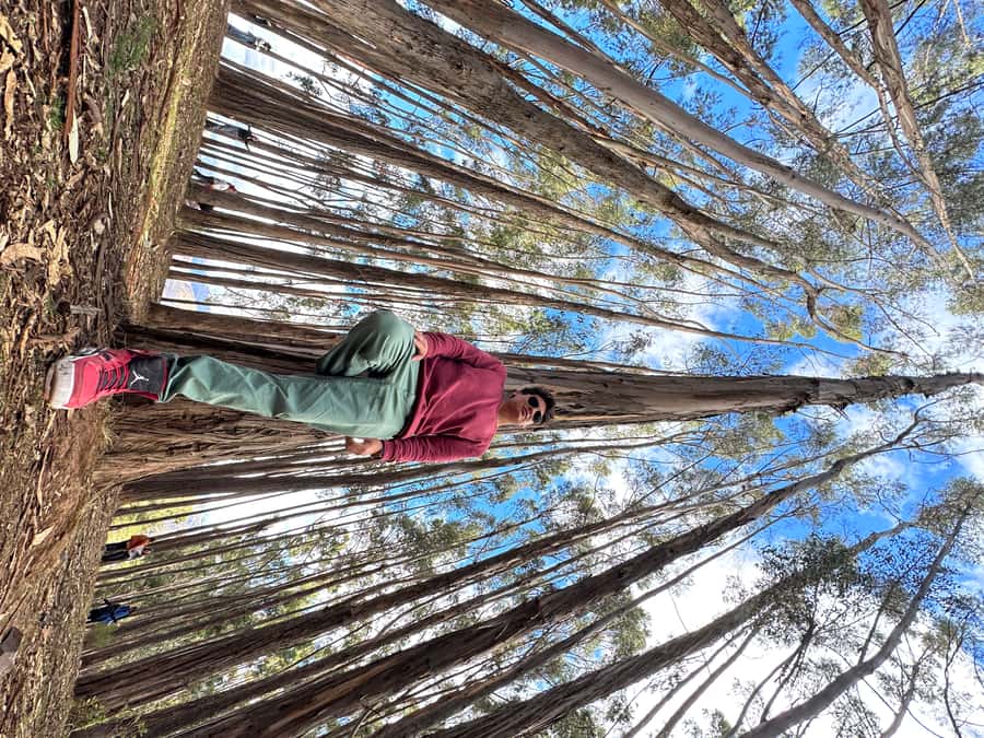 Cusco: Archeological Sites Tour and Forest Photo Experience - Coricancha, the final stop in central Cusco
