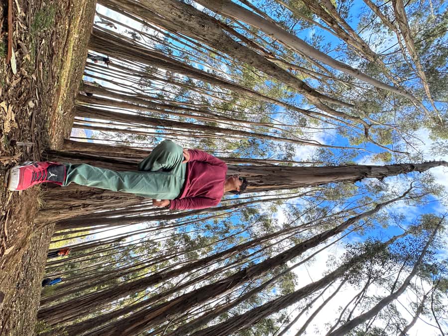 Cusco: Archeological Sites Tour and Forest Photo Experience - What the $17 price really covers