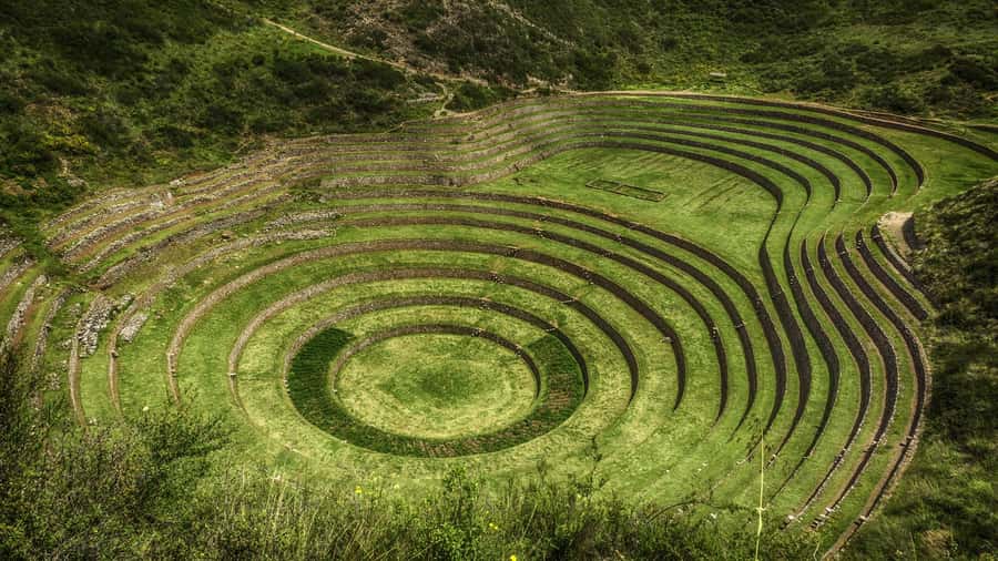 Cusco: Aventura Cuatrimoto en Moray y Salineras medio dia - Guides, languages, and group size
