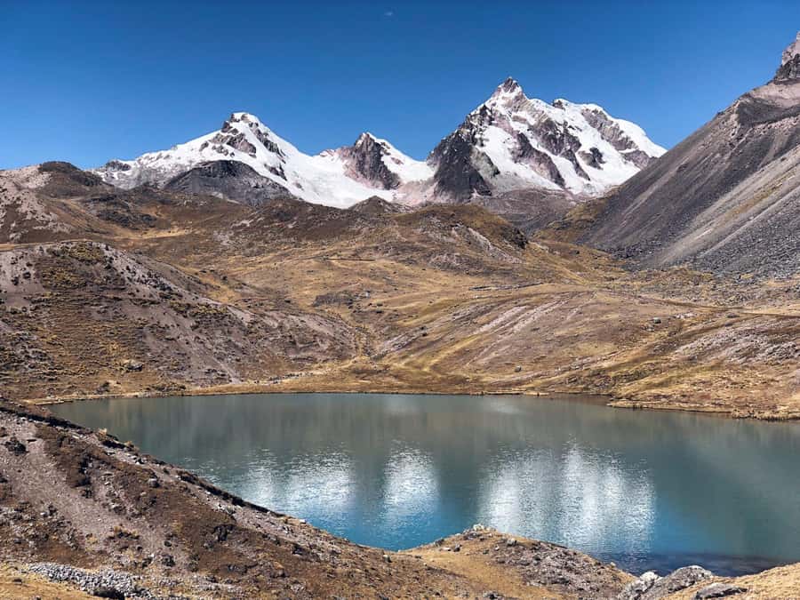 Cusco : full day 7 lagoons with lunch - Ausangate’s snowy mountain and changing colors