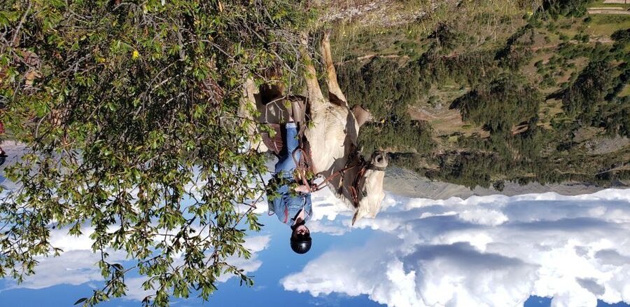 Cusco: Half-Day Horseback Riding at Devil's Balcony - Who should book this horseback ride?
